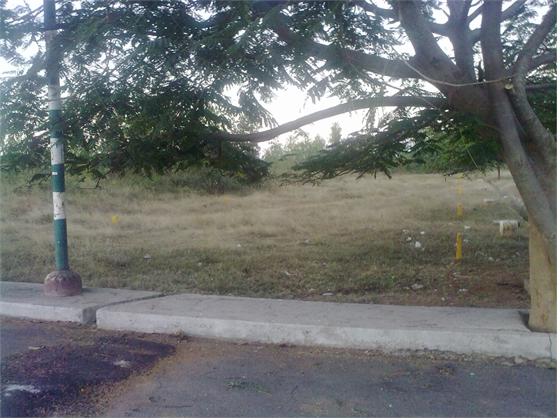 Residential Plot / Land for sale in 1200sq ft East Facing site for sale