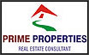 Prime Properties