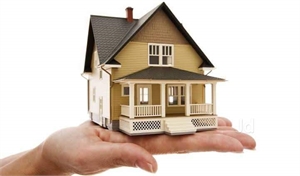 Sharma Ji Property