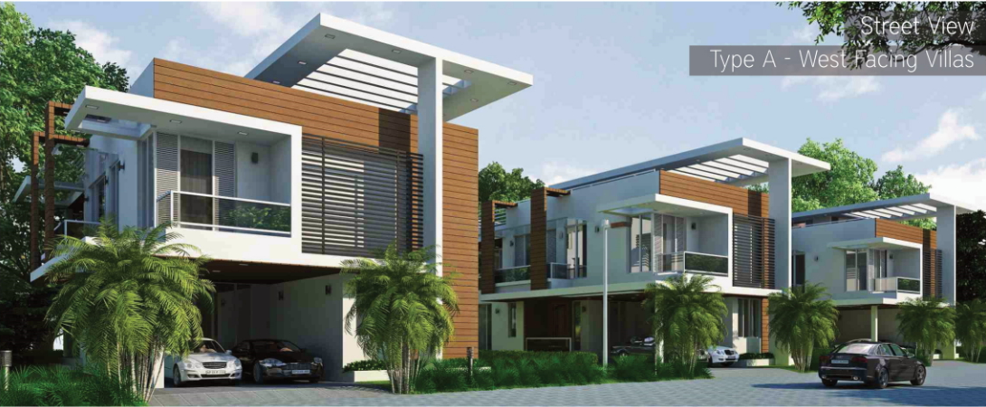 Myans Luxury Villas Photo