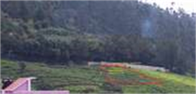 Agricultural Land / Farm Land For Sale in Ooty - Kotagiri Road, Ooty