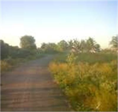 Residential Plot / Land For Sale in Foot Hills of Yelagiri, Vellore