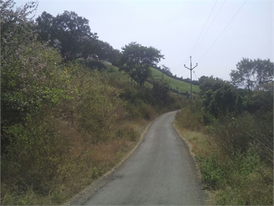 Agricultural Land / Farm Land For Sale in Pawana Dam, Lonavala