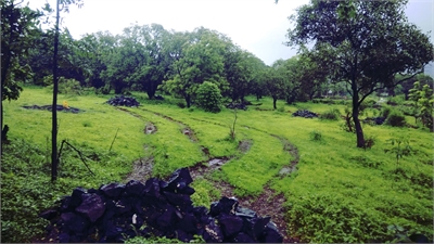 Agricultural Land / Farm Land For Sale in Village Pali, Khalapur, Navi Mumbai