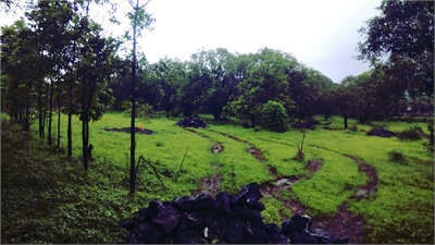 Agricultural Land / Farm Land For Sale in Village Pali, Khalapur, Navi Mumbai